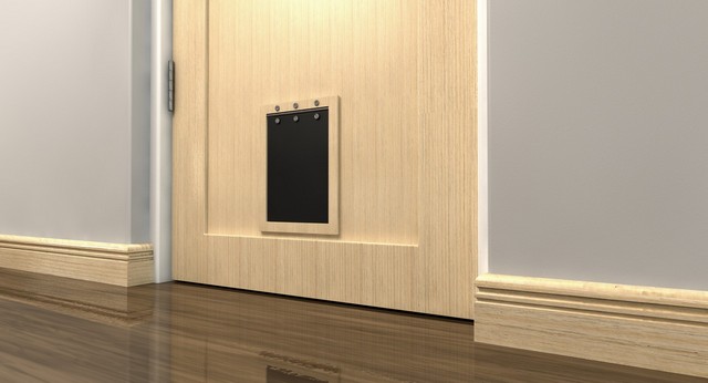 Cat Flap Installation Kingston upon Thames, KT1